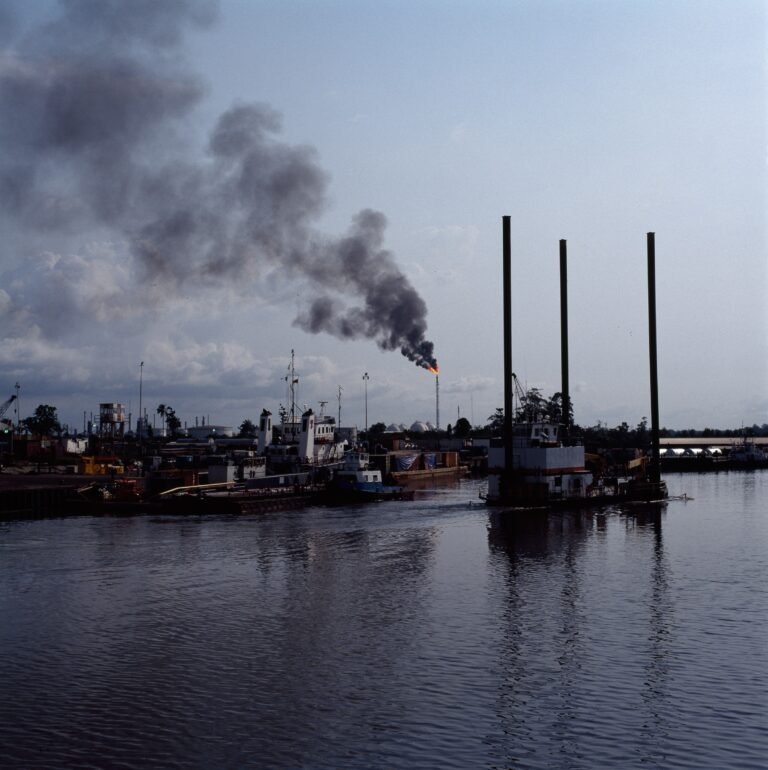 Black Veil Over Port Harcourt’s Green Past