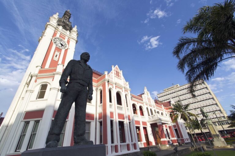 Steve Biko and the Idea That Could Not Be Killed