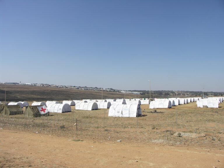 Migration at the Edge of Order in a Fractured Global System