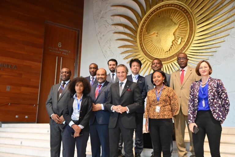 Africa Is Not at a Crossroads It Is the Test of the New World Order