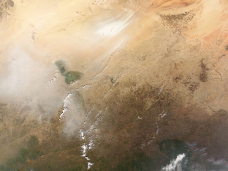 The Great Green Wall Is Africa’s Most Ambitious Environmental Bet — and It Is Losing Time