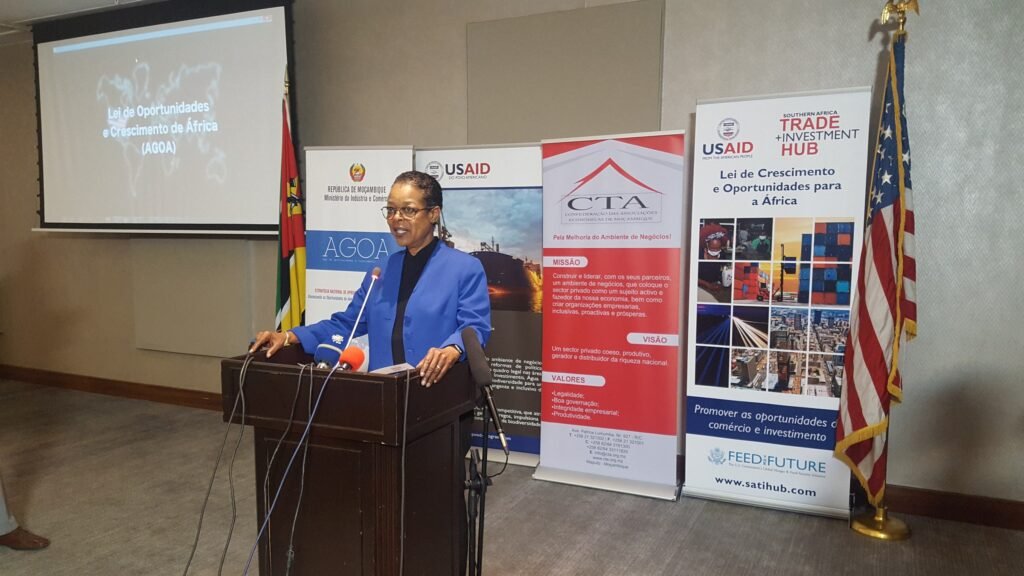 A presentation on economic growth and AGOA in Mozambique.