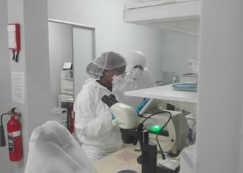 Tuberculosis researchers at work in a laboratory.