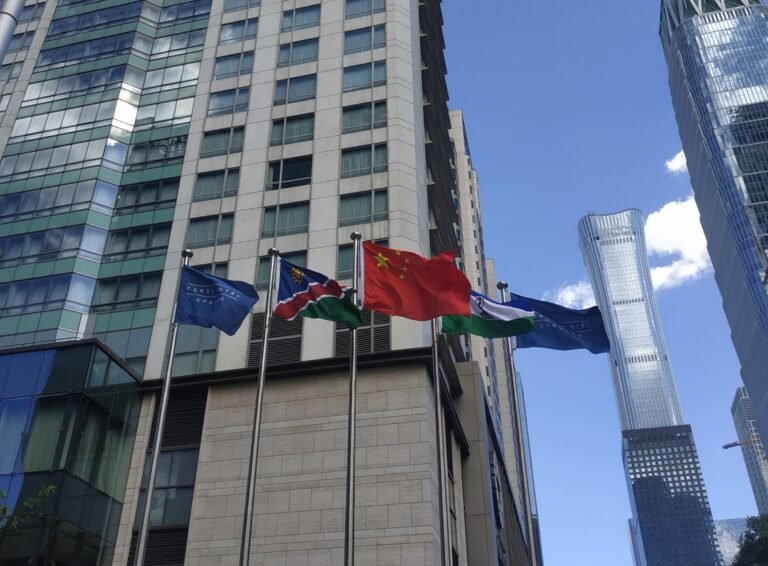 The 2024 China-Africa Summit, When the Largest Creditor Meets Its Most Indebted Partner