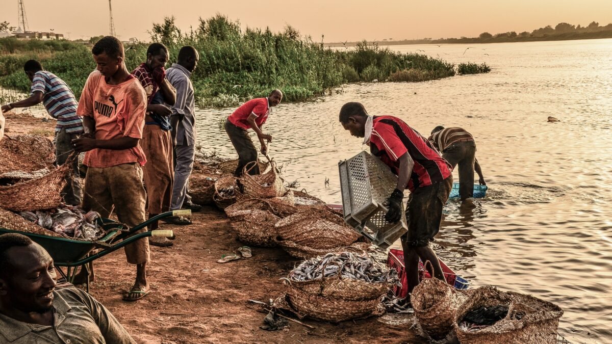 Fishermen landing their catch on the River Nile in Sudan.