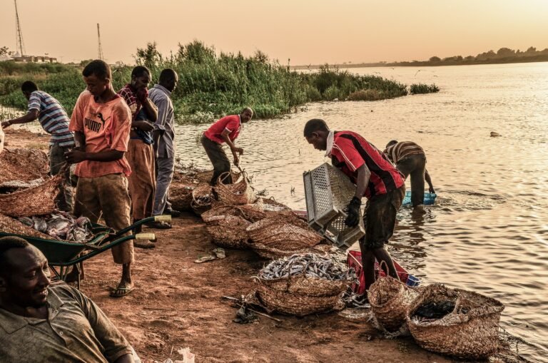 The Nile Is Not Britain’s to Give, Why Africa Must Dismantle Colonial Hydropolitics