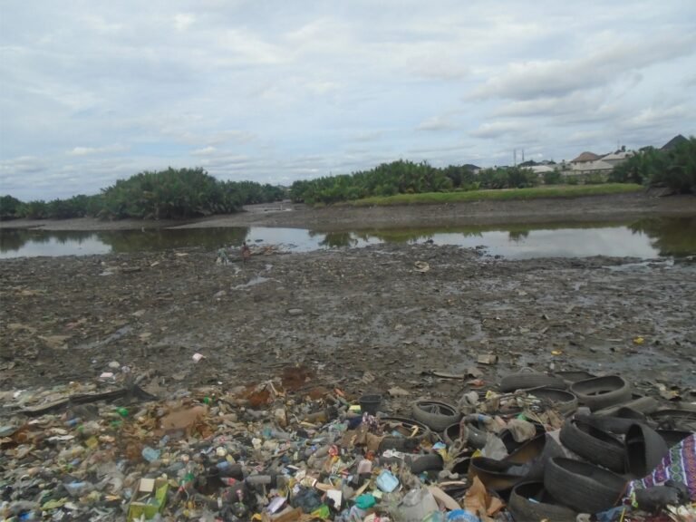 Rivers State Under Siege, The Emergency That Exposed Nigeria’s Democratic Architecture