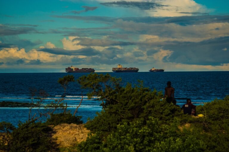 Tanzania’s Turning Point, What Africa’s Great Market Experiment Reveals About Growth Without Sovereignty