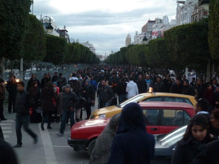 Tunisia’s Fake News Decree, When the State Decides What Truth Costs