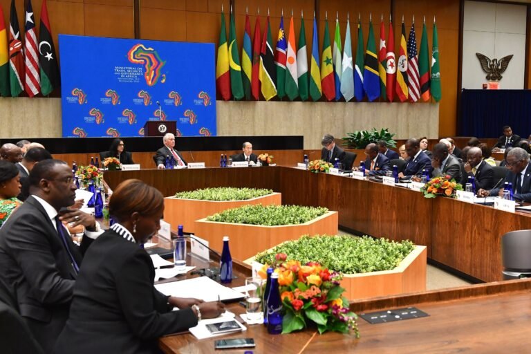 Africa’s Hidden Governance Architecture and the Battle for State Incentives