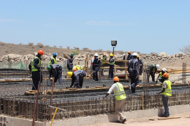 From Pledges To Projects In Africa’s Climate Economy