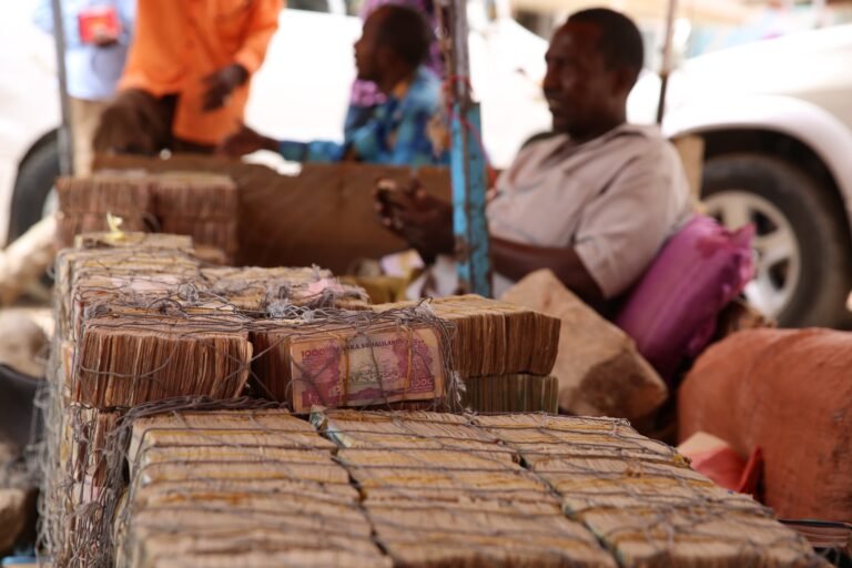 A Continent’s Unresolved Question, Somalia, Somaliland, and the Struggle for African Federalism
