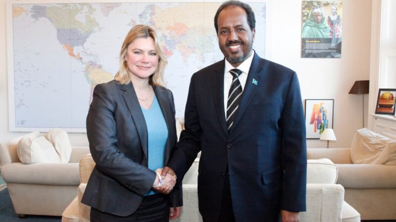 The President of Somalia meeting an international development minister.