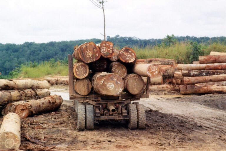 Biodiversity on the Brink, Climate Pushing Species to Extinction