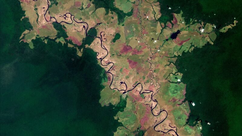 Satellite view of the Likouala-aux-Herbes river in the Congo Basin.