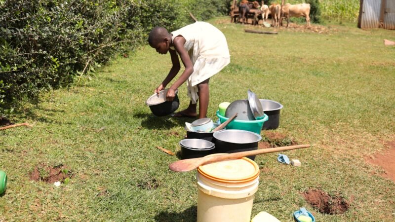 A girl washing utensils outside, with cattle grazing in the background.