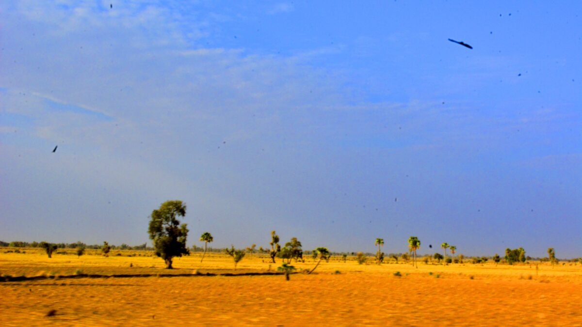 Arid savannah landscape in the Sahel region of northern Africa.