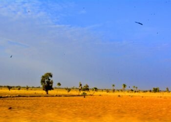 Arid savannah landscape in the Sahel region of northern Africa.