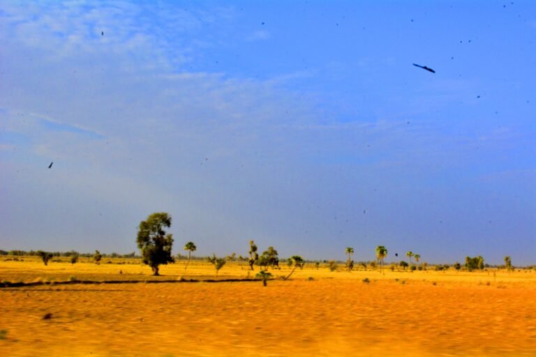 Climate Exodus, The Sahel’s Slow Displacement and the Politics of Who Counts