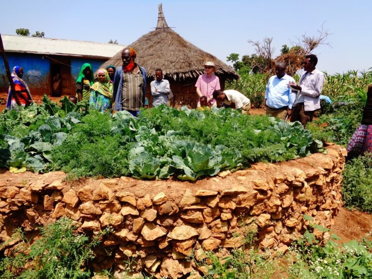 Fields of Change, Climate Is Rewriting Africa’s Food Security Calculations