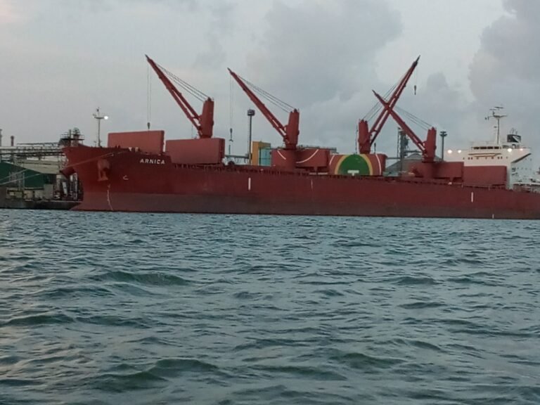 Nigeria Borrows. Britain Earns. The Ports Stay But the Power Doesn’t
