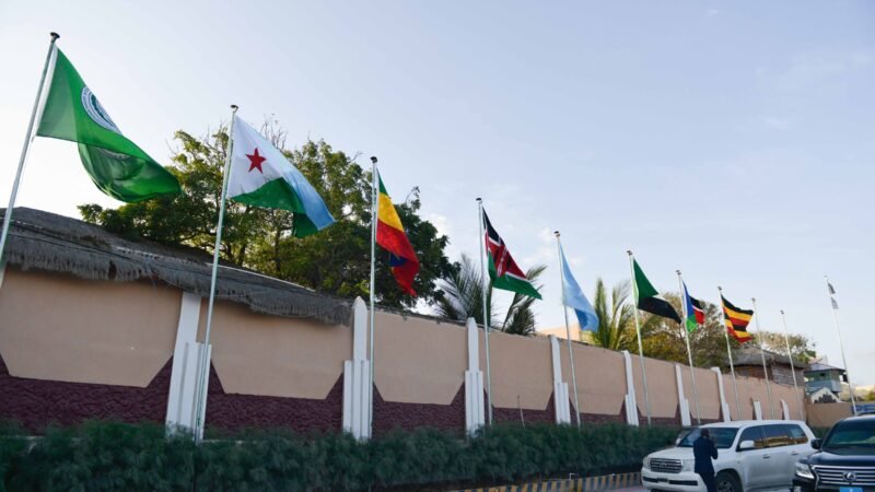 Heads of state at an IGAD summit.