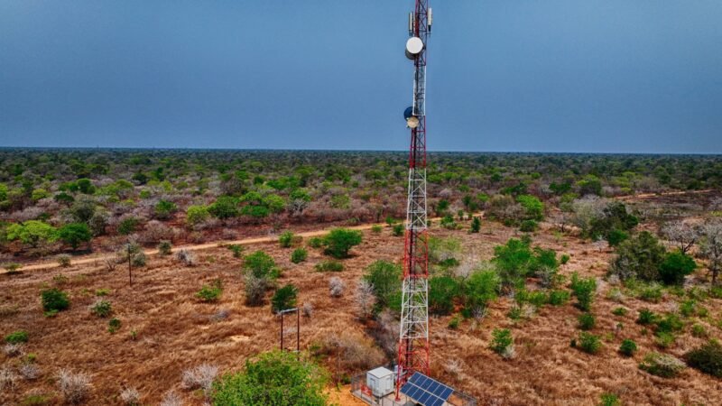 A solar-powered communications mast standing alone in African bush.