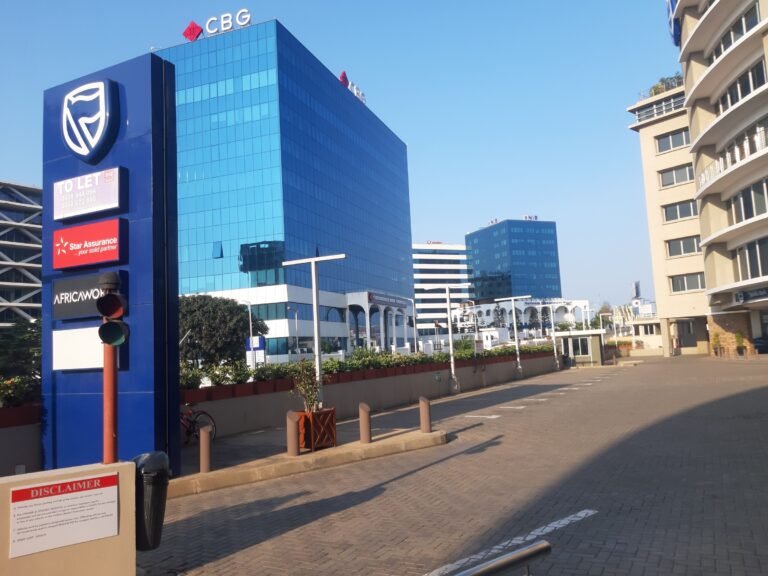 Three Agencies With No Office on the Continent Decide What It Costs Africa to Borrow.
