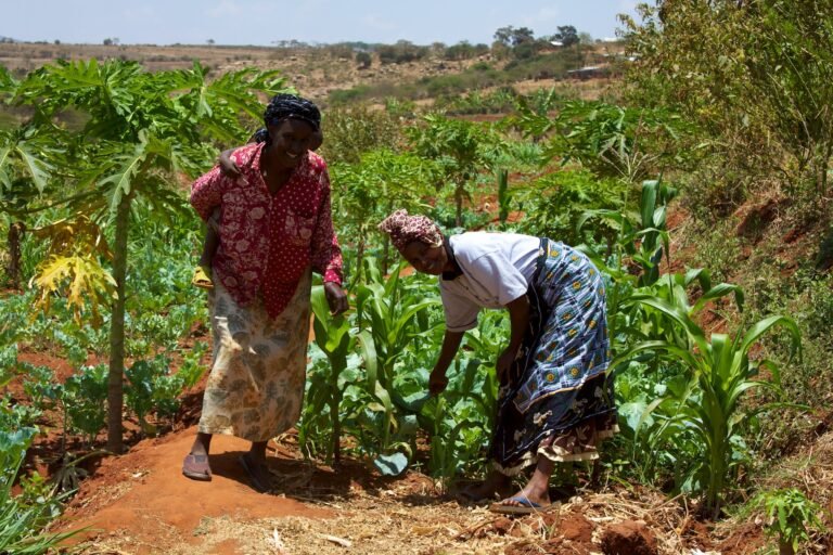 Land Titling Reforms Are Sold as Empowerment. Mostly They Formalise Who Gets to Sell.