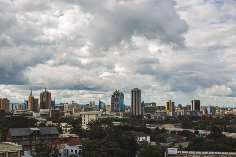 Panda, Samurai, Sukuk and a Food Swap, Nairobi Shops Every Debt Market at Once